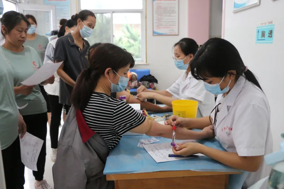 香港内部精准马料免费资料