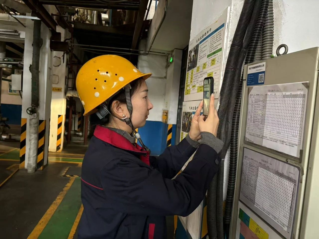 香港内部精准马料免费资料